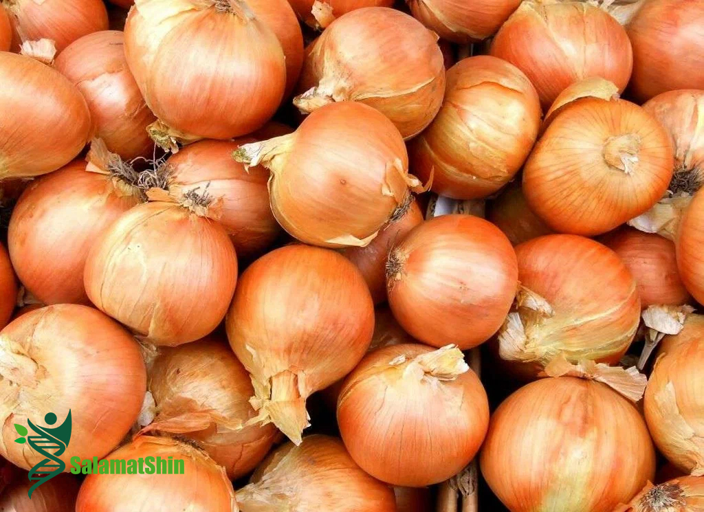 تصویر 1 از فروش پیاز زرد تازه + قیمت خرید به صرفه